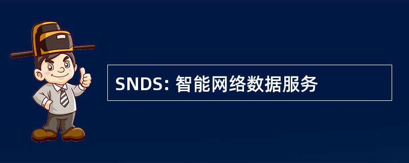 SNDS: 智能网络数据服务