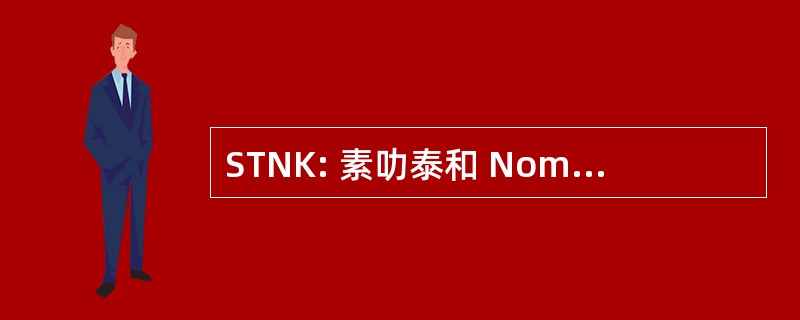 STNK: 素叻泰和 Nomor Kendaraan