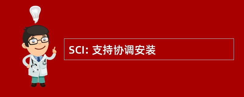 SCI: 支持协调安装