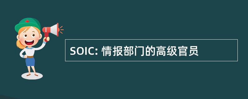 SOIC: 情报部门的高级官员