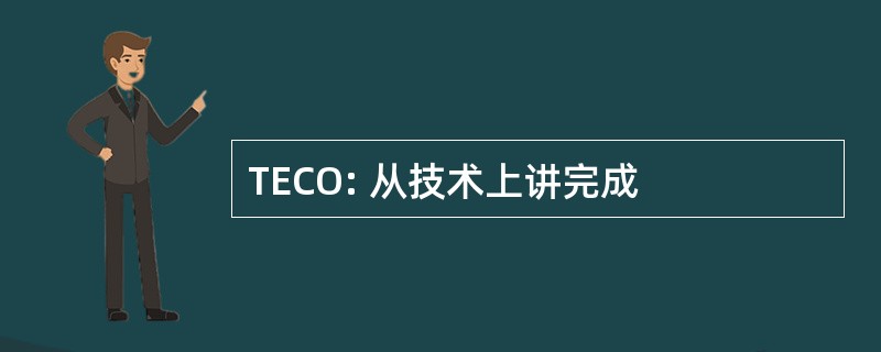 TECO: 从技术上讲完成
