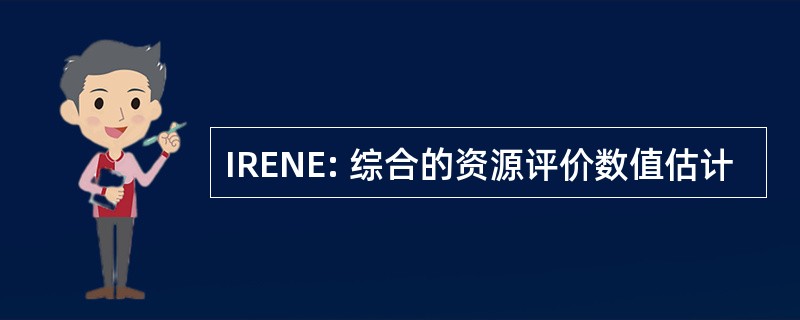 IRENE: 综合的资源评价数值估计