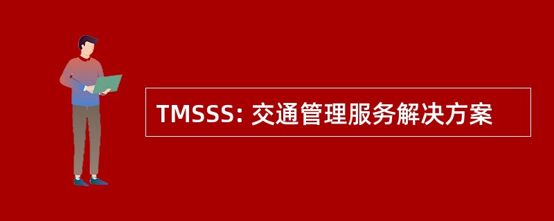 TMSSS: 交通管理服务解决方案