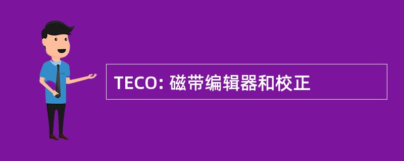 TECO: 磁带编辑器和校正