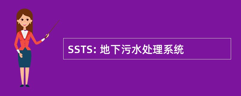 SSTS: 地下污水处理系统