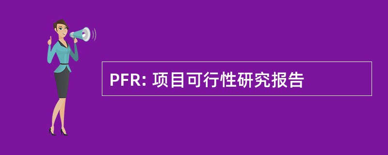 PFR: 项目可行性研究报告