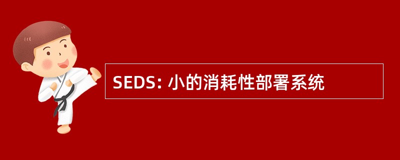 SEDS: 小的消耗性部署系统