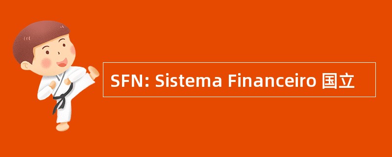 SFN: Sistema Financeiro 国立