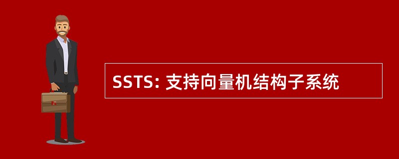 SSTS: 支持向量机结构子系统