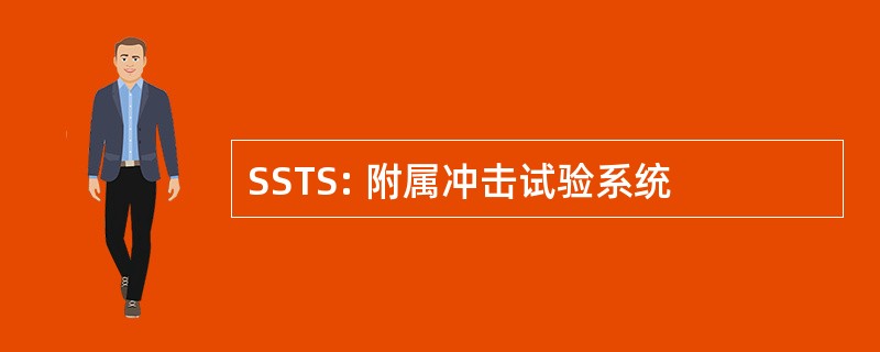 SSTS: 附属冲击试验系统