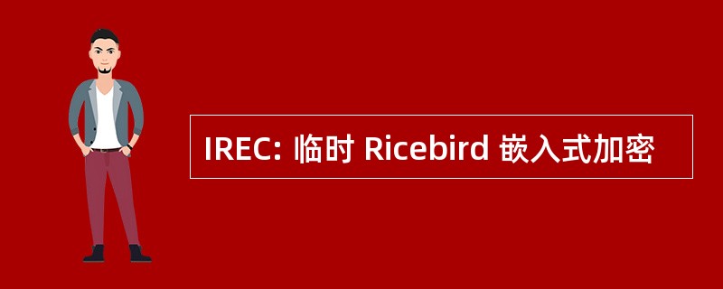 IREC: 临时 Ricebird 嵌入式加密