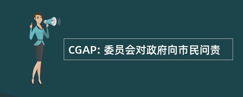 CGAP: 委员会对政府向市民问责