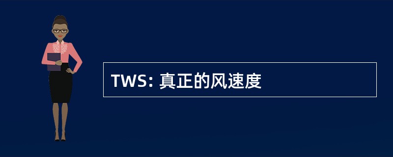 TWS: 真正的风速度