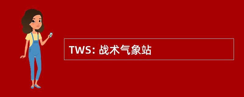 TWS: 战术气象站