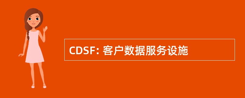 CDSF: 客户数据服务设施