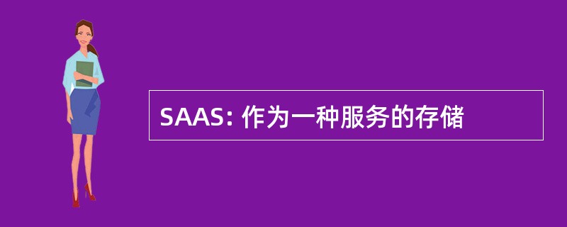 SAAS: 作为一种服务的存储