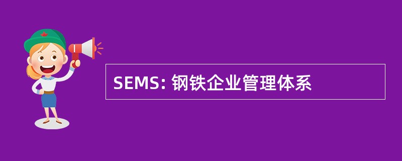 SEMS: 钢铁企业管理体系