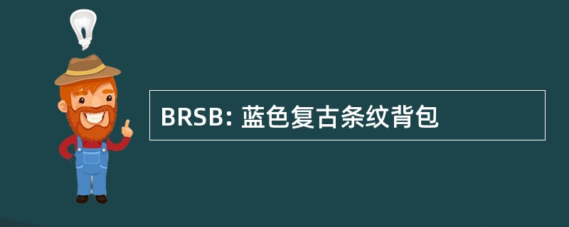 BRSB: 蓝色复古条纹背包