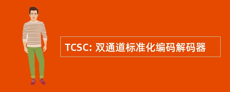 TCSC: 双通道标准化编码解码器