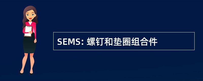 SEMS: 螺钉和垫圈组合件