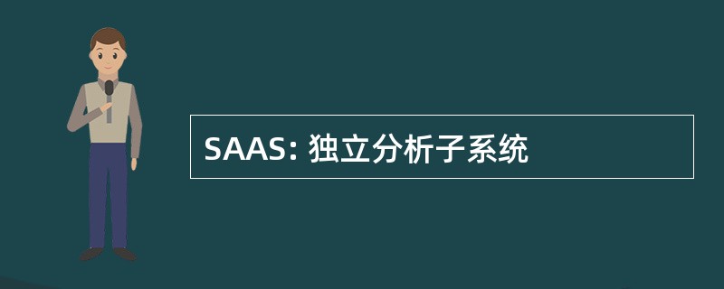 SAAS: 独立分析子系统