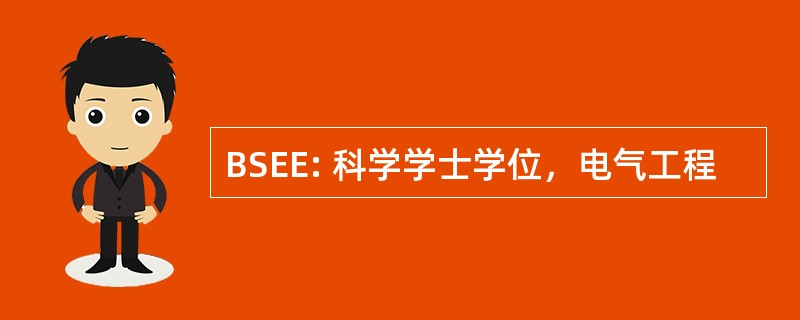 BSEE: 科学学士学位，电气工程