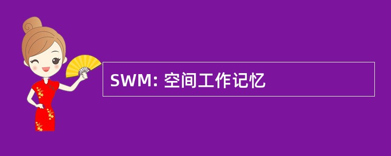 SWM: 空间工作记忆