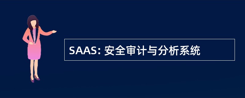 SAAS: 安全审计与分析系统