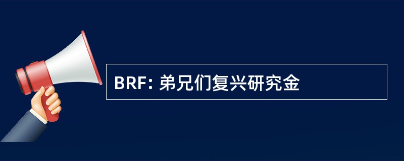 BRF: 弟兄们复兴研究金