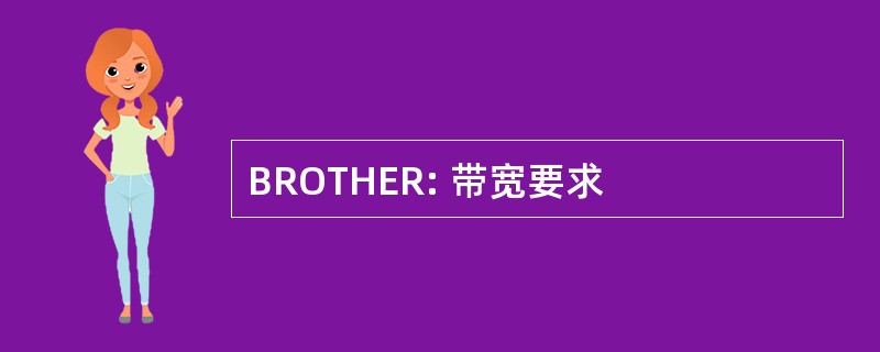 BROTHER: 带宽要求