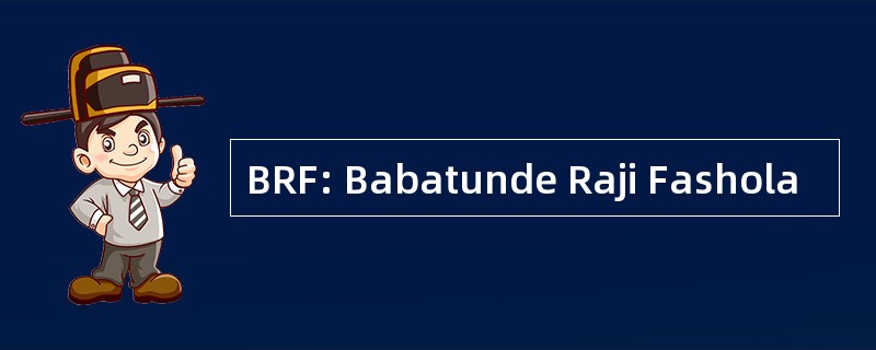 BRF: Babatunde Raji Fashola