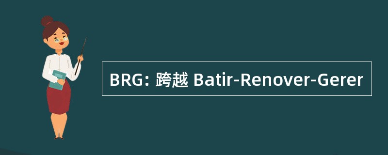 BRG: 跨越 Batir-Renover-Gerer