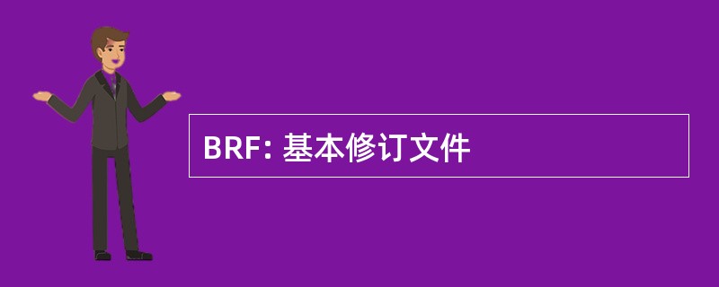 BRF: 基本修订文件