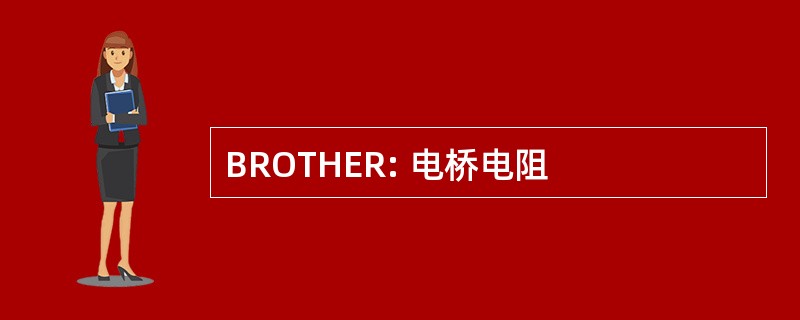 BROTHER: 电桥电阻