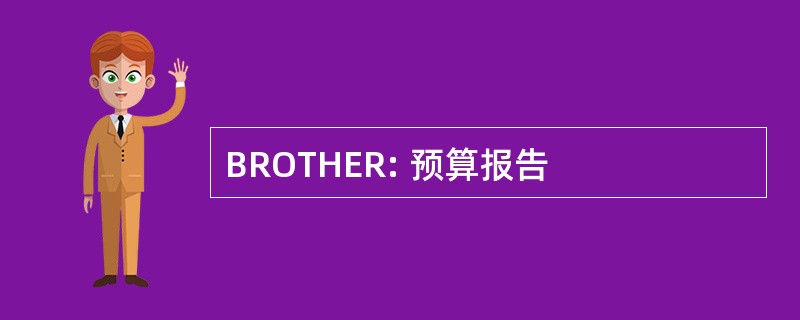 BROTHER: 预算报告