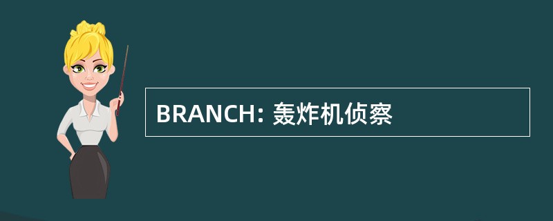 BRANCH: 轰炸机侦察