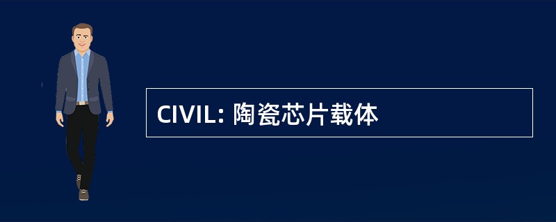 CIVIL: 陶瓷芯片载体