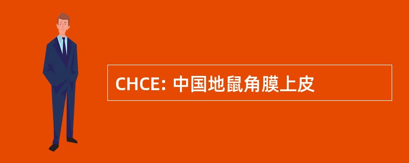 CHCE: 中国地鼠角膜上皮