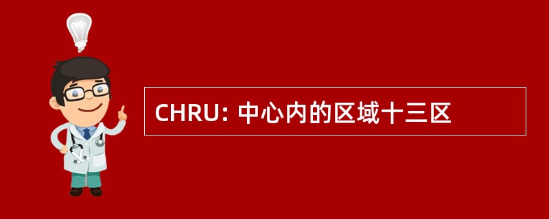 CHRU: 中心内的区域十三区