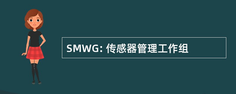 SMWG: 传感器管理工作组