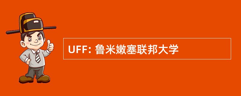 UFF: 鲁米嫩塞联邦大学