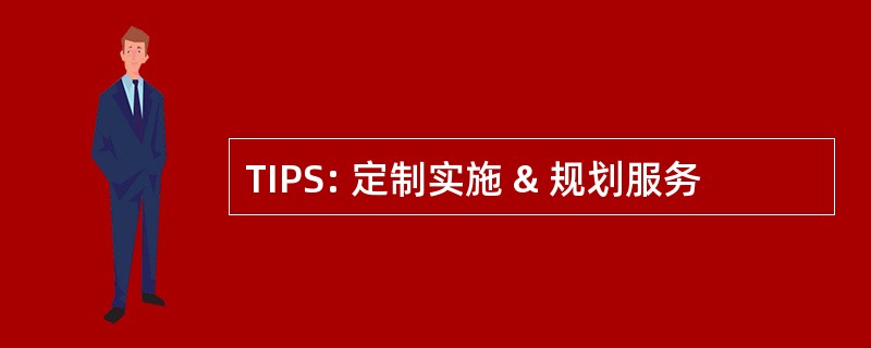 TIPS: 定制实施 & 规划服务