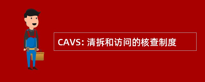 CAVS: 清拆和访问的核查制度