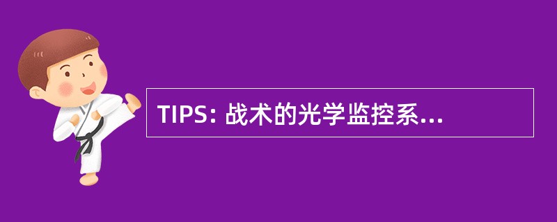 TIPS: 战术的光学监控系统图像处理系统 (美国国防部)