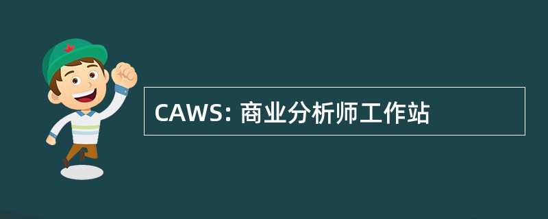 CAWS: 商业分析师工作站