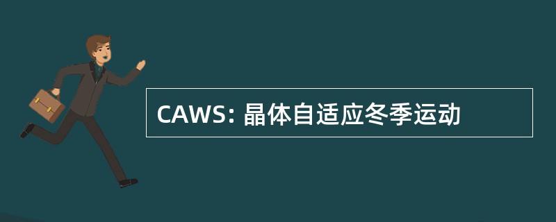 CAWS: 晶体自适应冬季运动