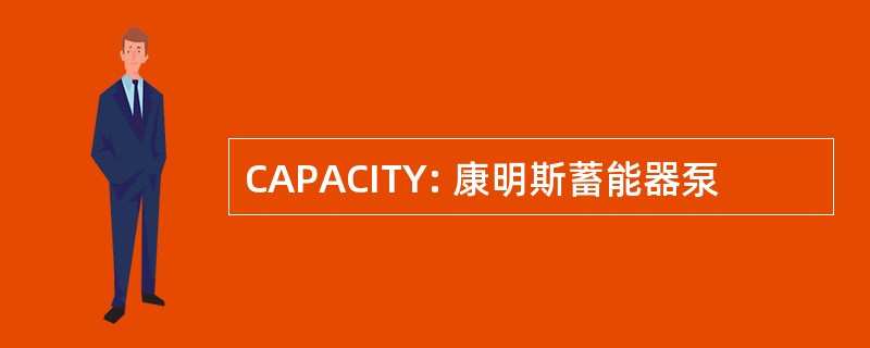 CAPACITY: 康明斯蓄能器泵