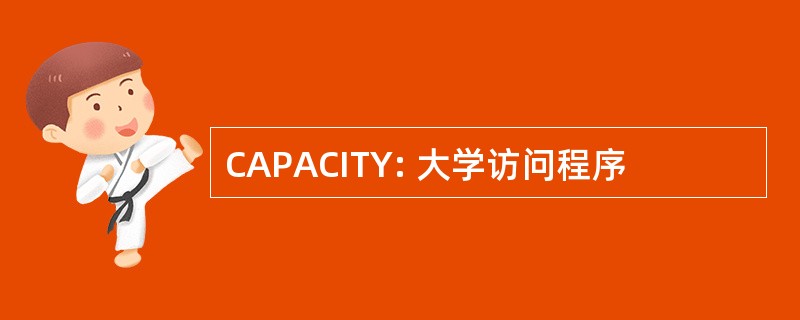 CAPACITY: 大学访问程序