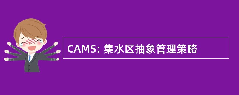 CAMS: 集水区抽象管理策略