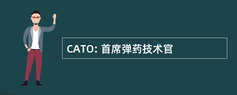 CATO: 首席弹药技术官